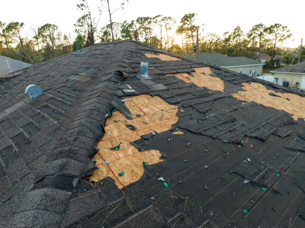 Best Asphalt Shingle Roofing  in Mechanicsville, MD